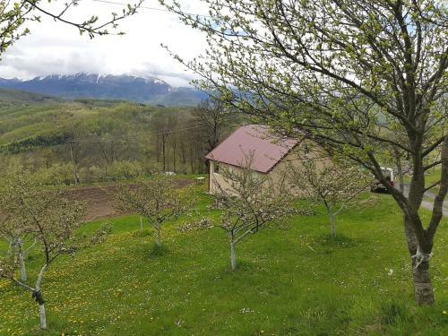 Lodge Country House Montenegro