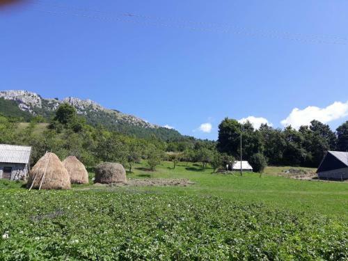 Lodge Country House Montenegro