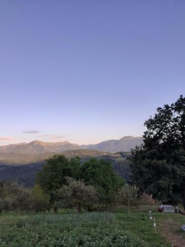 Lodge Country House Montenegro