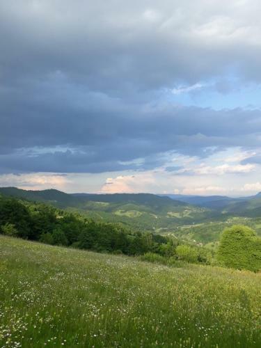 Lodge Country House Montenegro