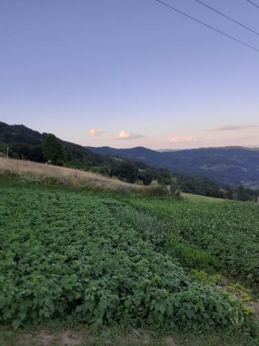 Lodge Country House Montenegro