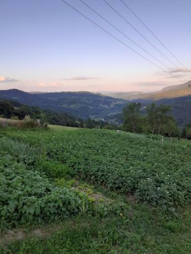 Lodge Country House Montenegro