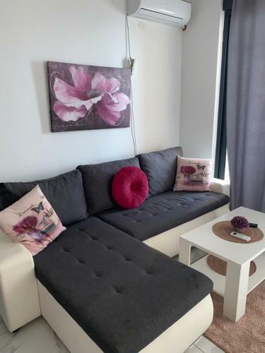Sea Star Apartments