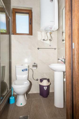 Hostal Guest House Topla III