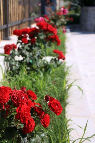 Hostal Guest House Topla III