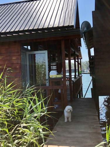 Apartment Luna