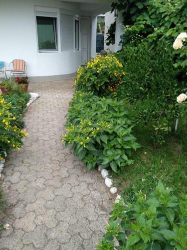 Hostal Apartments And Rooms Mila