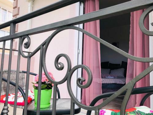Apartmani Pogled