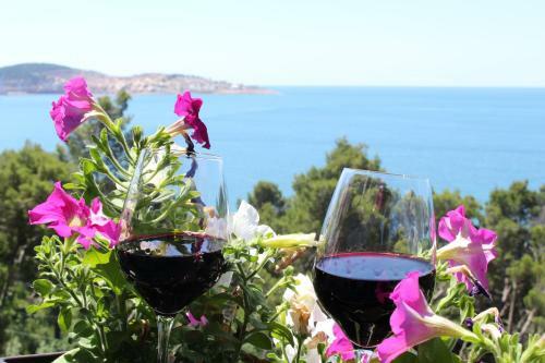 Apartmani Pogled