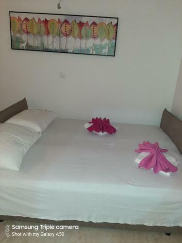 Apartmani Pogled