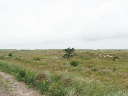 Sea Lodges Ameland 8