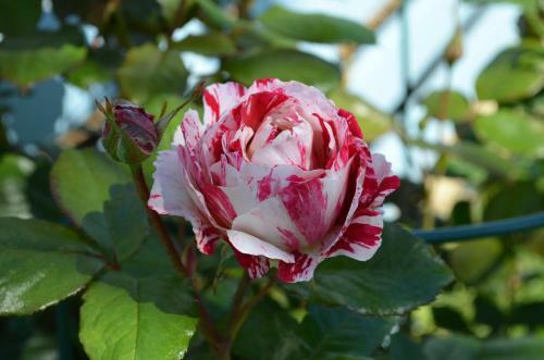 Hostal Quality Rural Stay Catlins Guesthouse