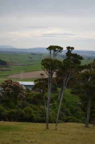 Hostal Quality Rural Stay Catlins Guesthouse