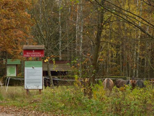 Lodge Domek Przy Wilczym Szlaku