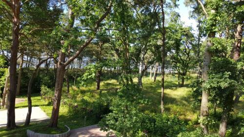Apartamenty Ostrowski Dwie Sosny