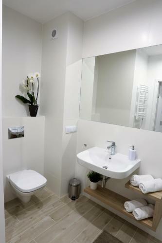 Apartamenty Ostrowski Dwie Sosny