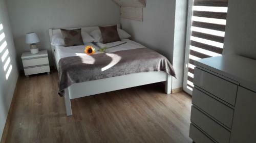 Apartamento Domki Luksusowe Marina