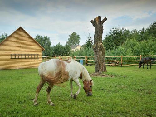 Holiday Home Skrzynia 2