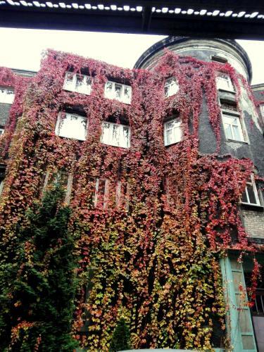 Bed & Breakfast Bristol Economy