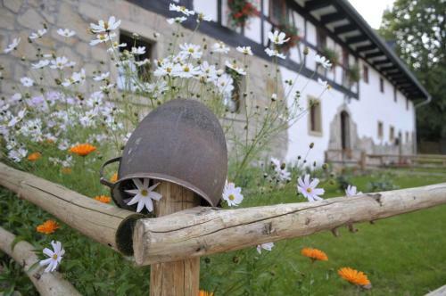 Posada Go?ciniec Pod Zielonym Jajem