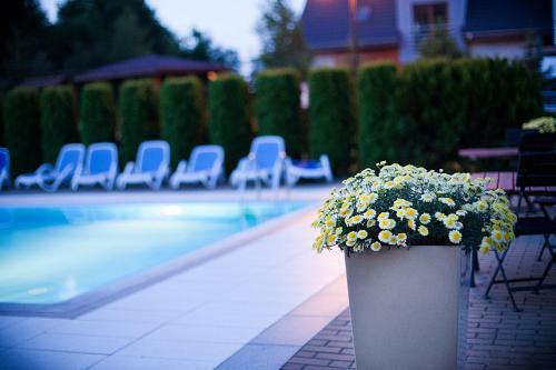 Hostal Dw Airen