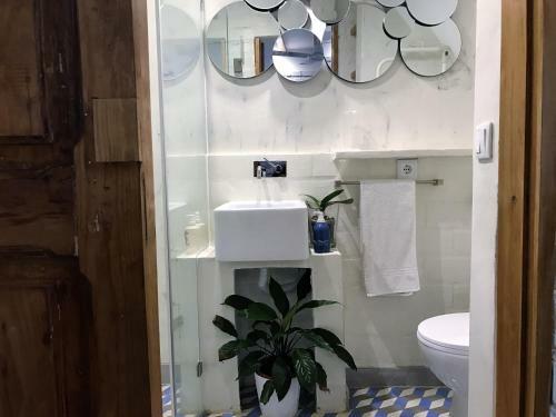 Apartamento Loft Pra�a Das Flores