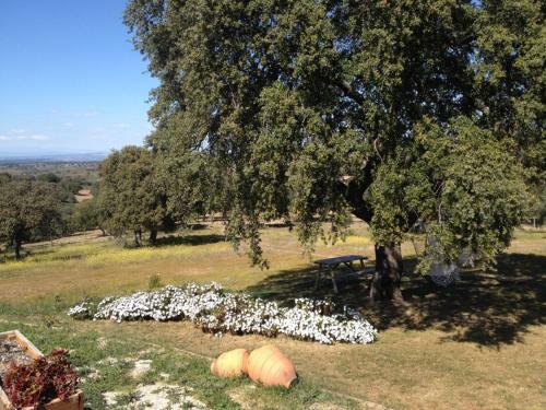Agroturismo Monte Vale Mosteiro