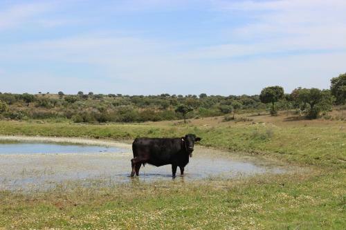 Agroturismo Monte Vale Mosteiro
