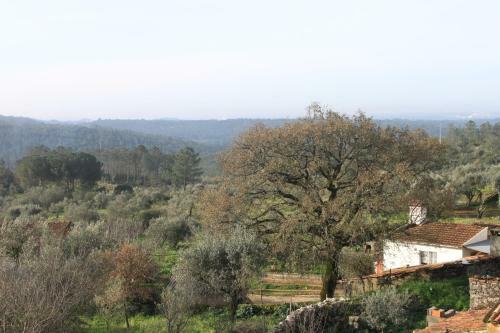 Quinta De S�o Jo�o