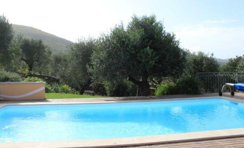 Quinta De S�o Jo�o