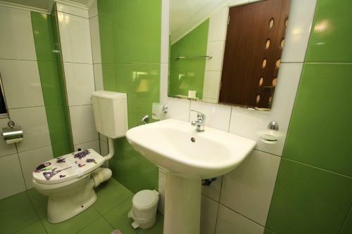 Hostal Pensiunea Ciobanelu