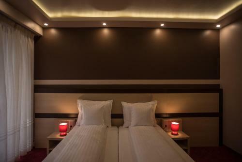 Homorod Hotel