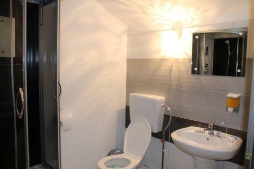 Hostal Pensiunea Alpina