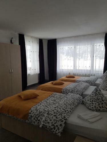 Hostal Pensiunea Alpina