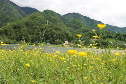 Hostal Pensiunea Alpina