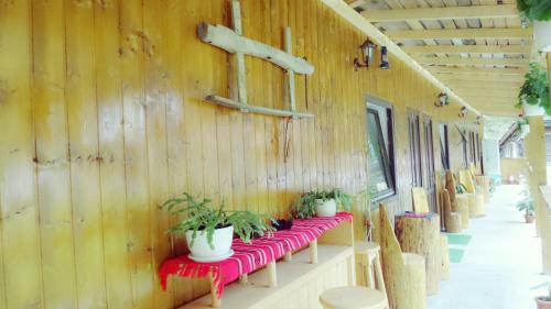 Hostal Pensiunea Casa Vranceana