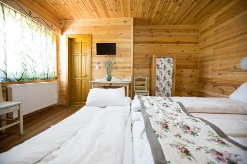 Lodge Pensiunea Balkan Expres