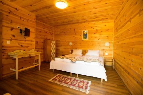 Lodge Pensiunea Balkan Expres