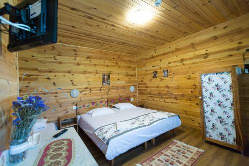 Lodge Pensiunea Balkan Expres