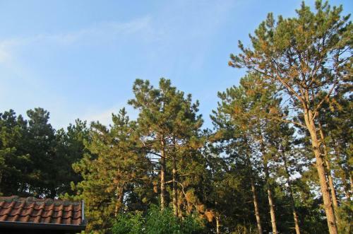Hostal Guest House Keserovic
