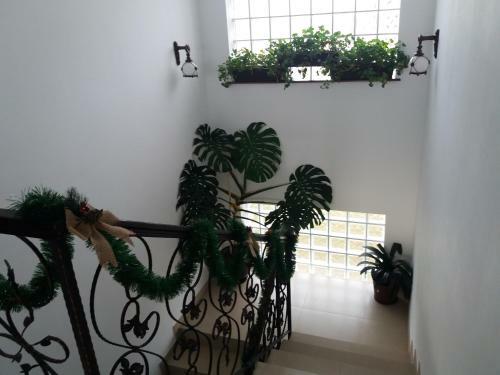 Hostal Pensiunea Obcina Mare