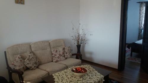Hostal Pensiunea Obcina Mare