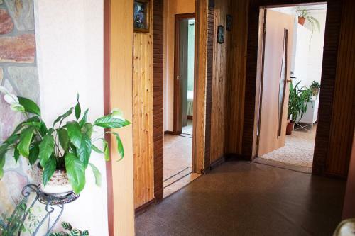 Agroturismo Cottage Novak