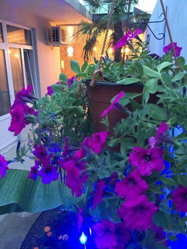 Hostal Guest House Eva