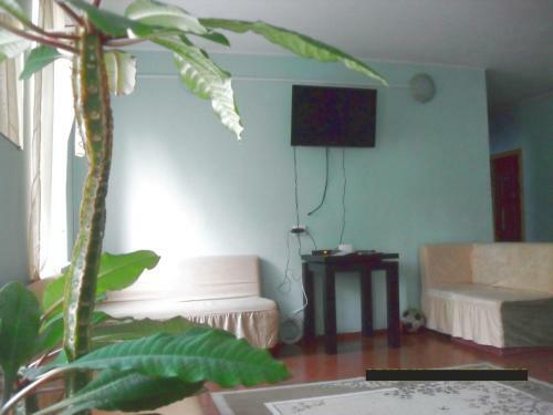 Hostal Guest House Andreevshchina