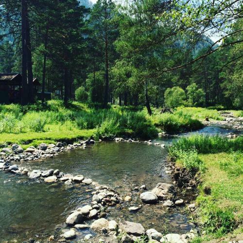 Apartamento Bear And Berry Eco-hotel