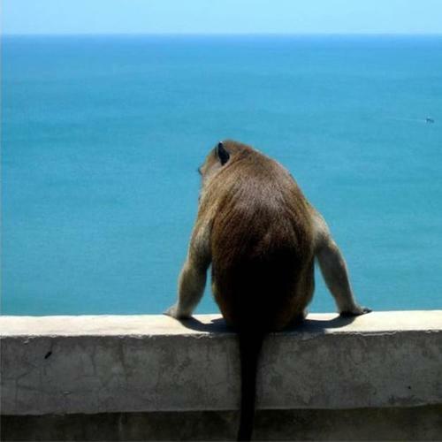 Hostal Seascape Resort Baan Krood