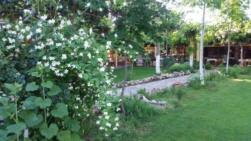Anatolia Hotel Geyre Karacasu Ayd?n (Aphrodisias)