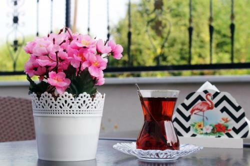 Hotel Lp Lag�n Palas