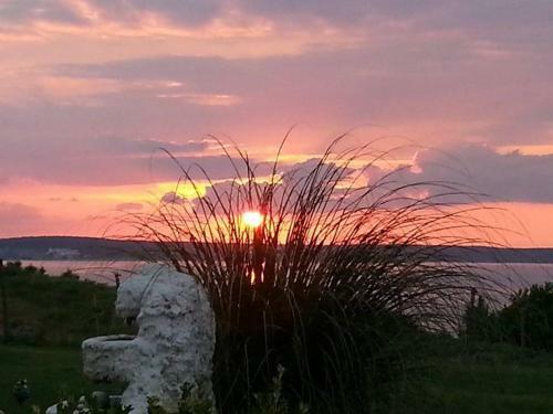 Apartamento Perice Konak